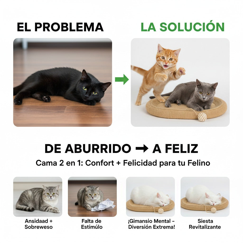 Rascador y cama para gatos