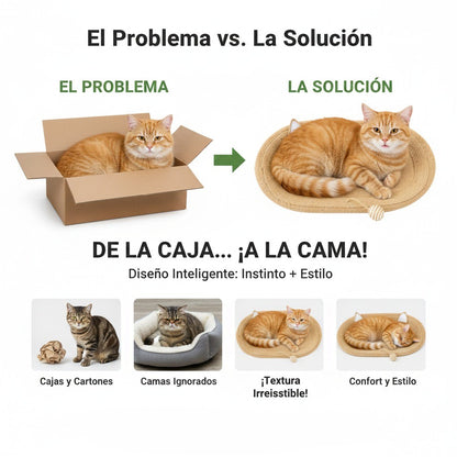 Rascador y cama para gatos